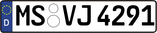 MS-VJ4291