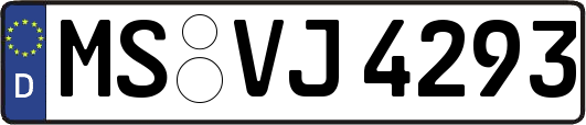 MS-VJ4293