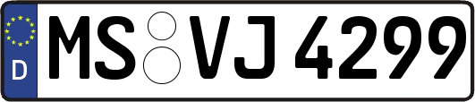 MS-VJ4299