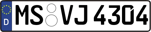 MS-VJ4304