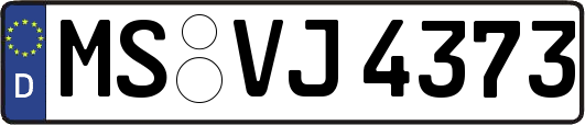 MS-VJ4373