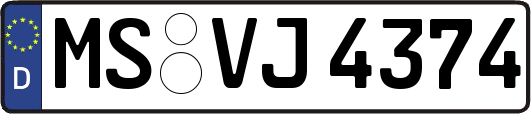 MS-VJ4374