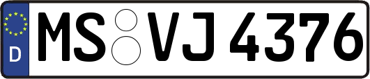 MS-VJ4376