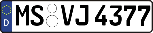 MS-VJ4377