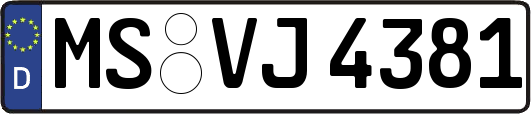 MS-VJ4381