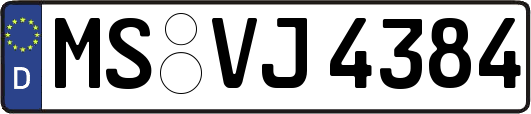 MS-VJ4384