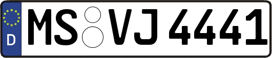MS-VJ4441
