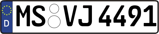 MS-VJ4491