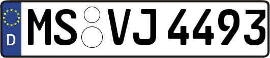 MS-VJ4493
