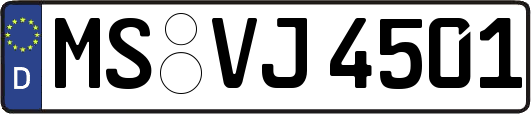 MS-VJ4501
