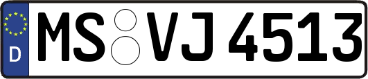 MS-VJ4513
