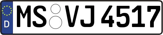 MS-VJ4517