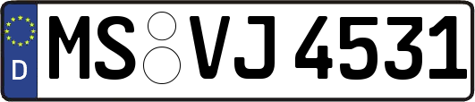 MS-VJ4531