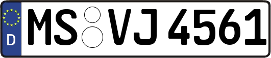 MS-VJ4561