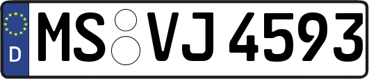MS-VJ4593
