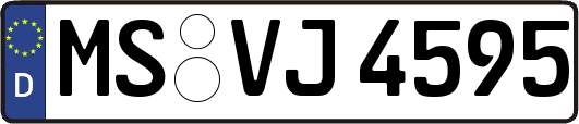 MS-VJ4595