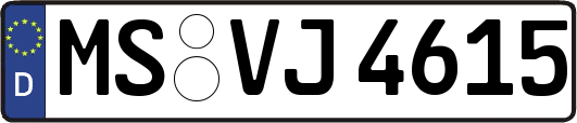 MS-VJ4615
