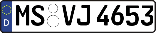 MS-VJ4653