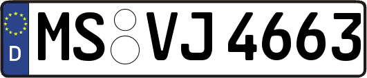 MS-VJ4663