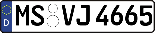MS-VJ4665