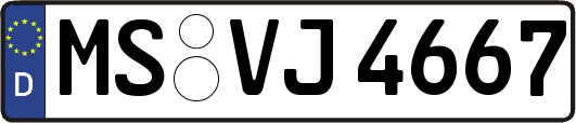 MS-VJ4667