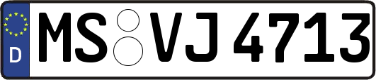 MS-VJ4713