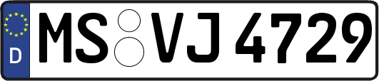 MS-VJ4729
