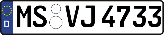 MS-VJ4733