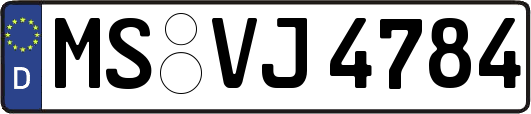 MS-VJ4784