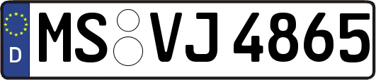 MS-VJ4865