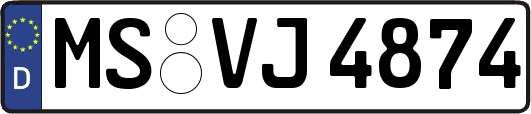 MS-VJ4874