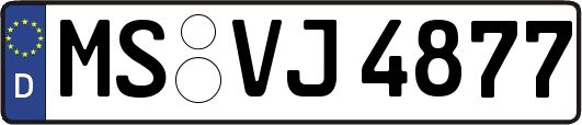 MS-VJ4877