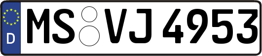 MS-VJ4953