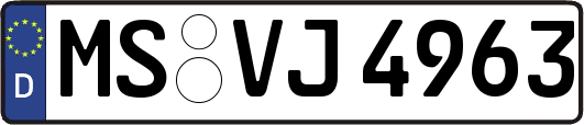 MS-VJ4963