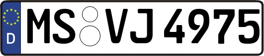 MS-VJ4975