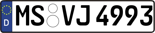 MS-VJ4993