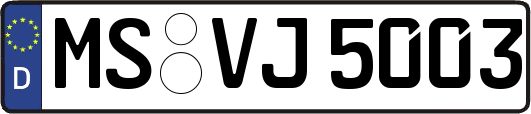 MS-VJ5003