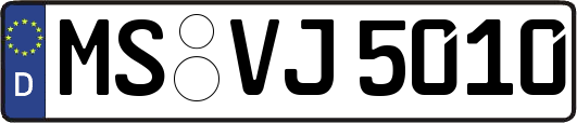 MS-VJ5010