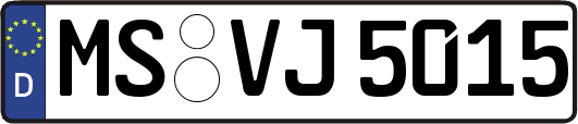 MS-VJ5015
