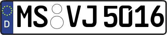 MS-VJ5016