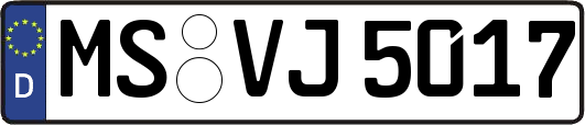 MS-VJ5017