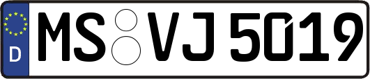 MS-VJ5019
