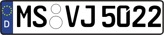 MS-VJ5022