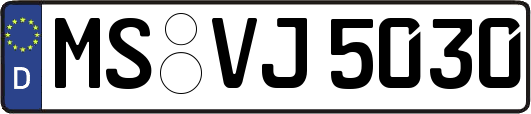 MS-VJ5030