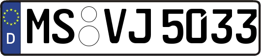 MS-VJ5033