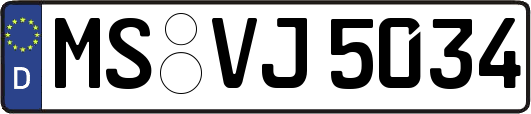 MS-VJ5034