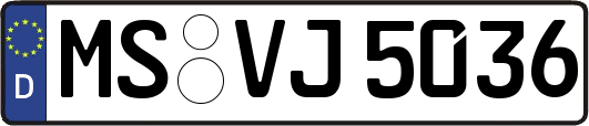 MS-VJ5036