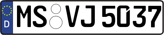 MS-VJ5037