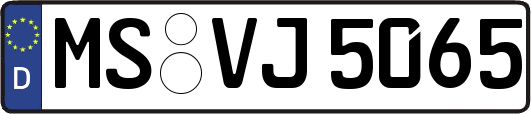 MS-VJ5065