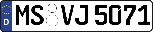 MS-VJ5071